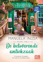 Omslag van De betoverende antiekzaak - Grote Letter Uitgave