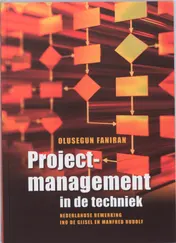 Omslag van Projectmanagement in de techniek