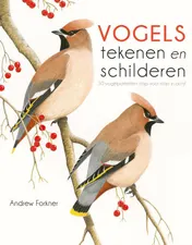 Omslag van Vogels tekenen en schilderen