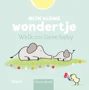 Omslag van Mijn kleine wondertje