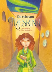 Omslag van De reis van Mesrina