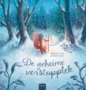 Omslag van De geheime verstopplek