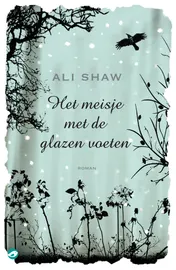 Omslag van Het meisje met de glazen voeten