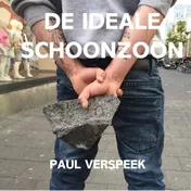 Omslag van De ideale schoonzoon