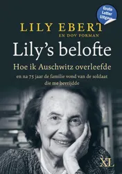 Omslag van Lily's belofte