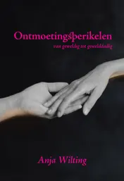Omslag van Ontmoetingsperikelen, van geweldig tot gewelddadig