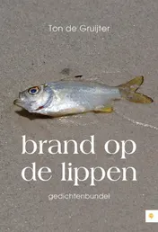 Omslag van Brand op de lippen