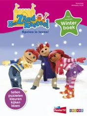 Omslag van Zandkasteel Winterboek