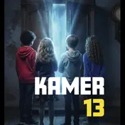 Omslag van Kamer 13