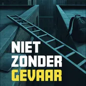Omslag van Niet zonder gevaar