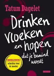 Omslag van Drinken, vloeken en hopen dat je bemind wordt