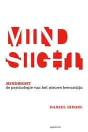 Omslag van Mindsight