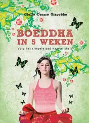 Omslag van Boeddha in 5 weken