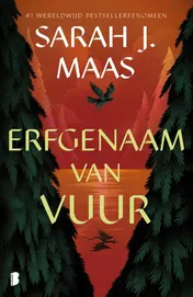 Omslag van Erfgenaam van vuur