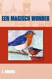 Omslag van Een magisch wonder