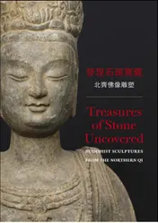 Omslag van Treasures of stone uncovered