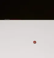 Omslag van Everyday objects