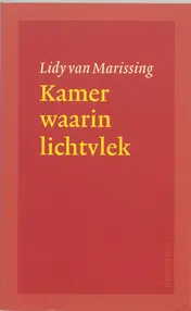 Omslag van Kamer waarin lichtvlek