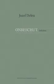 Omslag van Onbeschut