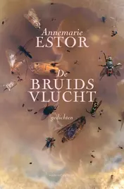 Omslag van De bruidsvlucht