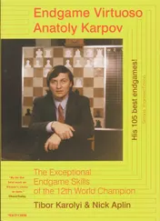 Omslag van Endgame Virtuoso Anatoly Karpov
