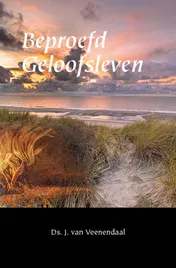 Omslag van Beproefd geloofsleven