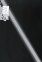 Omslag van Plint Poëzieposter 'Er zit een feest in mij' Ann Verstraete