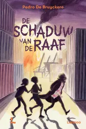 Omslag van De schaduw van de Raaf