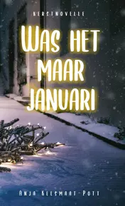 Omslag van Was het maar januari