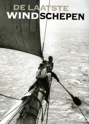 Omslag van De laatste windschepen