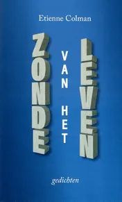 Omslag van Zonde van het leven