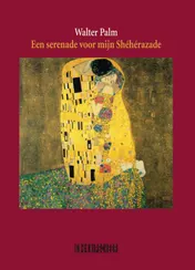 Omslag van Een serenade voor mijn Sheherazade