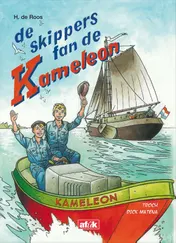 Omslag van De skippers fan de Kameleon