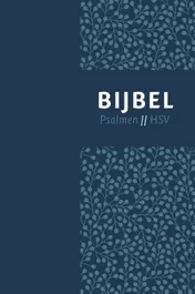 Omslag van Bijbel (HSV) met psalmen - blauw leer met zilversnee en duimgrepen