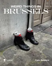 Omslag van Weird things in Brussels