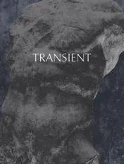 Omslag van Transient