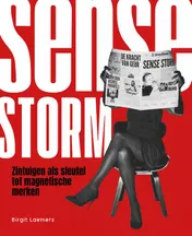 Omslag van Sense Storm
