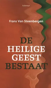Omslag van De Heilige Geest bestaat