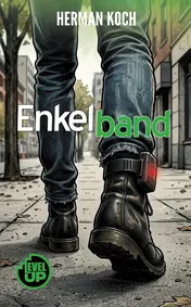 Omslag van Enkelband