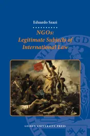 Omslag van NGOs: Legitimate subjects of international law