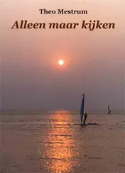 Omslag van Alleen maar kijken