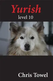 Omslag van Yurish level 10