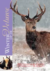 Omslag van Winter op de Veluwe
