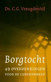 Omslag van Borgtocht