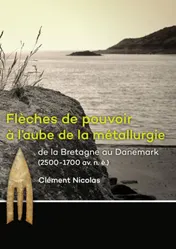 Omslag van Flèches de pouvoir à l’aube de la métallurgie de la Bretagne au Danemark (2500-1700 av. n. è.)