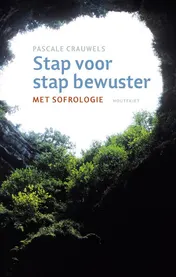 Omslag van Stap voor stap bewuster