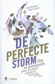 Omslag van De perfecte storm