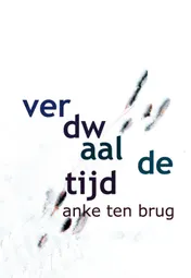 Omslag van Verdwaalde tijd