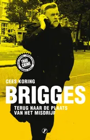 Omslag van Brigges