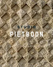 Omslag van Studio Piet Boon